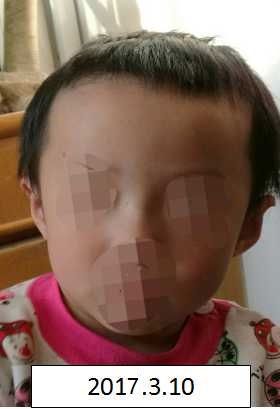 美女被插到爽网站